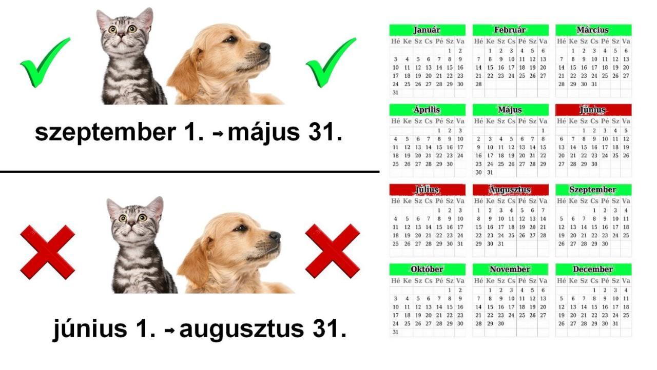Vadaszles Vendeghaz Bukkszentmarton Exterior foto
